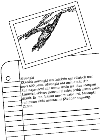 Picture